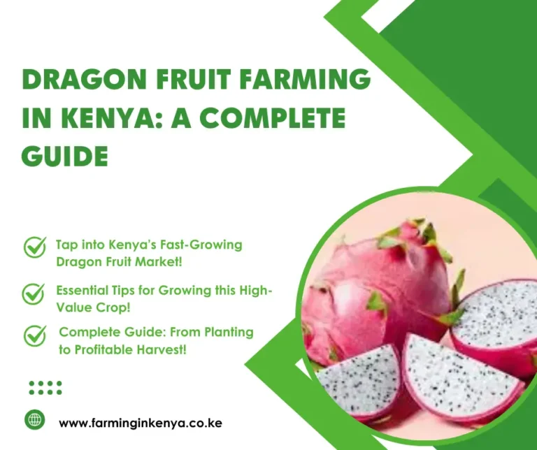  Dragon Fruit Farming in Kenya: A Complete Guide