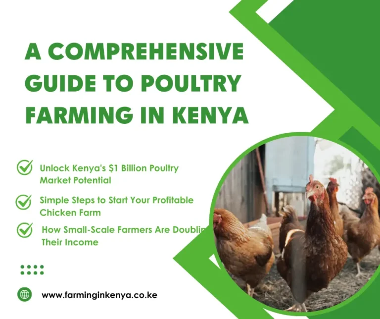 poultry farming in kenya