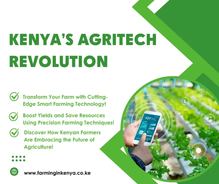 Smart Farming in Kenya: Revolutionizing Agriculture with Technology