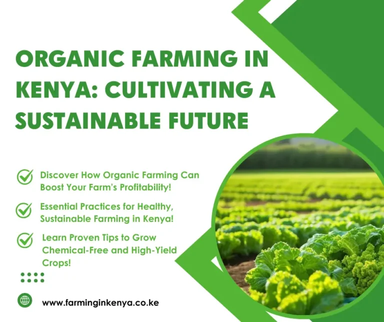 Organic Farming in Kenya
