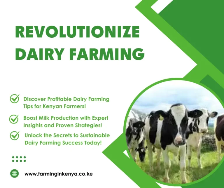 Dairy farmingin kenya