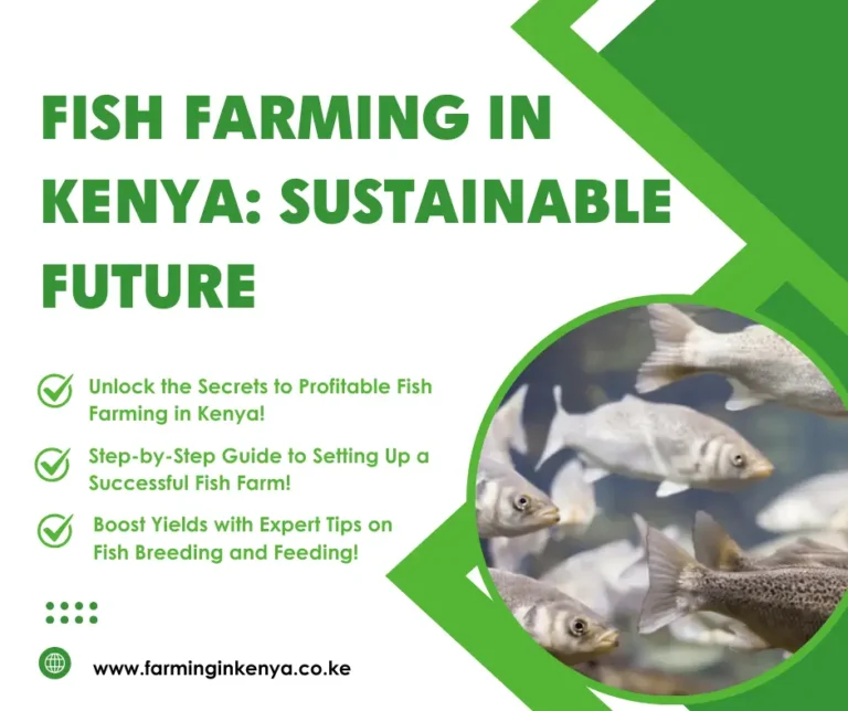 fish farming in kenya
