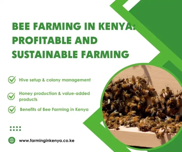 Bee Farming in Kenya: A Sustainable Venture for Income and Conservation