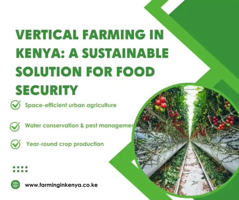 Vertical Farming in Kenya: A Sustainable Solution for Food Security
