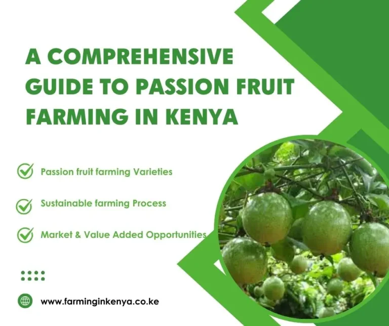 Passion Fruit Farming in Kenya: All You Need To Know