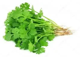 Types of Herbs to Farm in Kenya-02