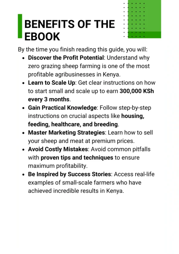 Earn 300k Every 3 Months from Zero Grazing Sheep Farming in Kenya - Image 3