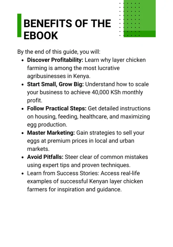 Earn 40,000 KSh Monthly Profit From Layer Chicken Farming in Kenya - Image 3