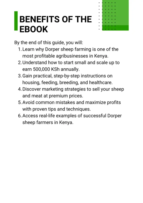 Earn 100k Every 2 Months From Dorper Sheep Farming in Kenya - Image 2