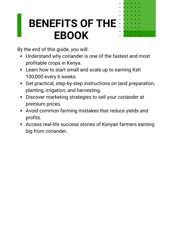 Earn Ksh 100,000 Every 6 Weeks from Coriander Farming - Image 2