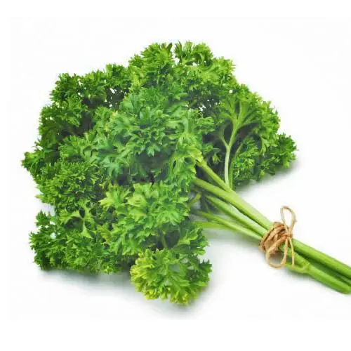 Types of Herbs to Farm in Kenya-03