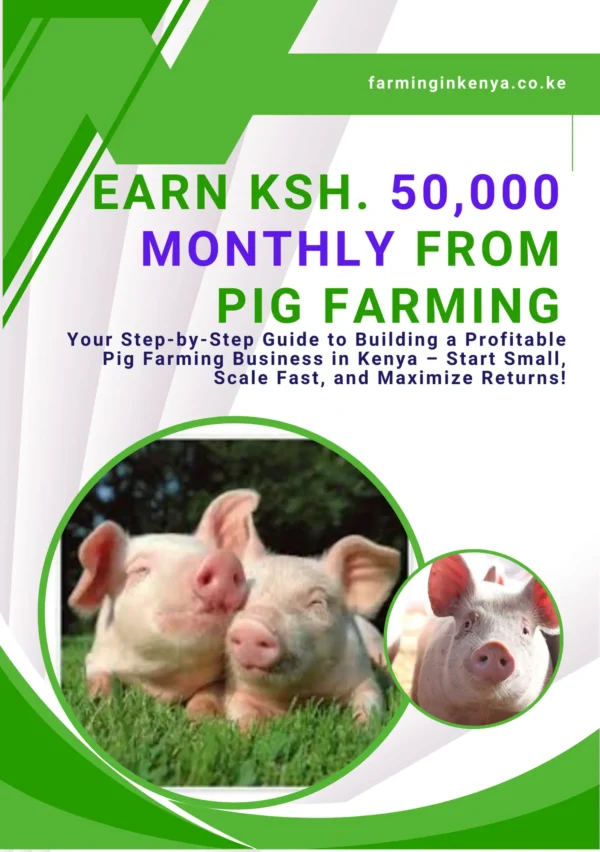 Earn Ksh. 50,000 Monthly From Pig Farming