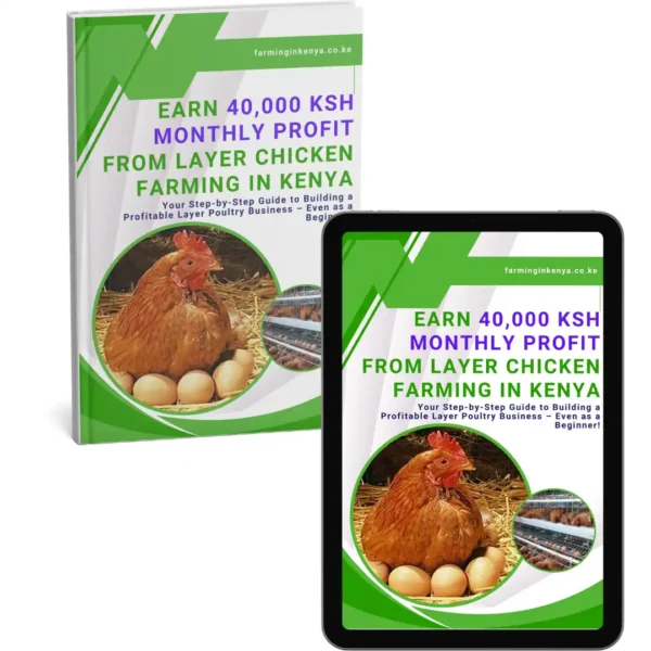 Earn 40,000 KSh Monthly Profit From Layer Chicken Farming in Kenya