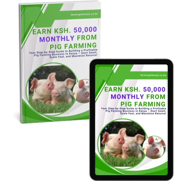 Earn Ksh. 50,000 Monthly From Pig Farming