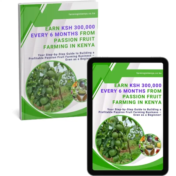 Earn Ksh 300,000 Every 6 Months from Passion Fruit Farming in Kenya
