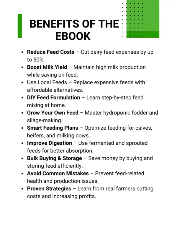 Cut Dairy Feed Costs by Up to 50%: Profitable Dairy Feeding Guide - Image 2
