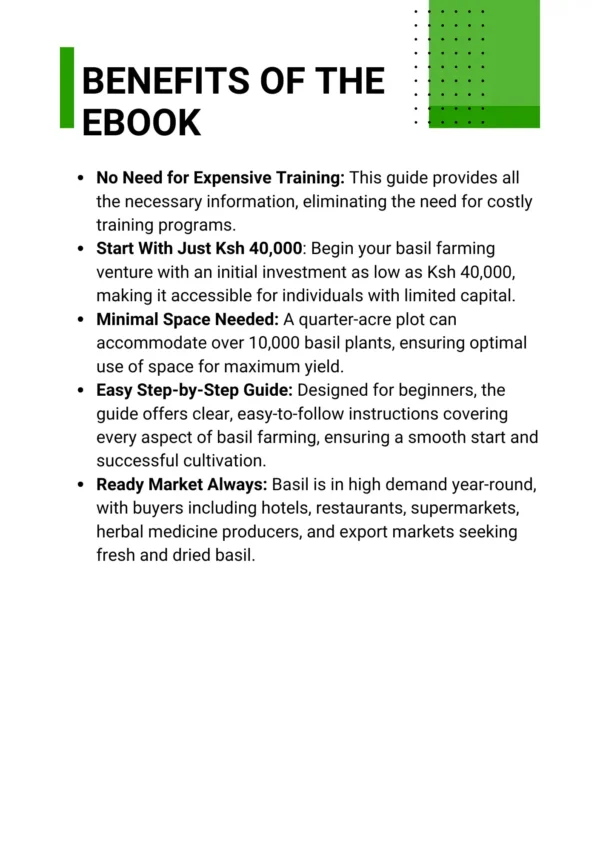 Earn Ksh 150k Monthly from ¼ Acre of Basil Farming - Image 2