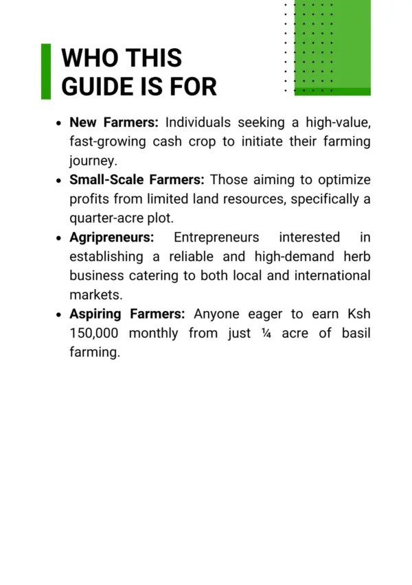 Earn Ksh 150k Monthly from ¼ Acre of Basil Farming - Image 3