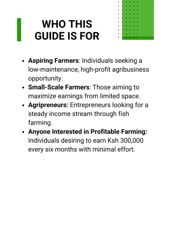 Earn Ksh 300k Every 6 Months from Catfish Farming - Image 3