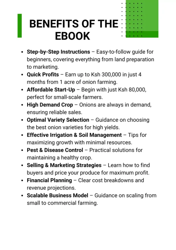 Earn Ksh 300k in 4 Months from 1 Acre of Bulb Onion Farming - Image 3