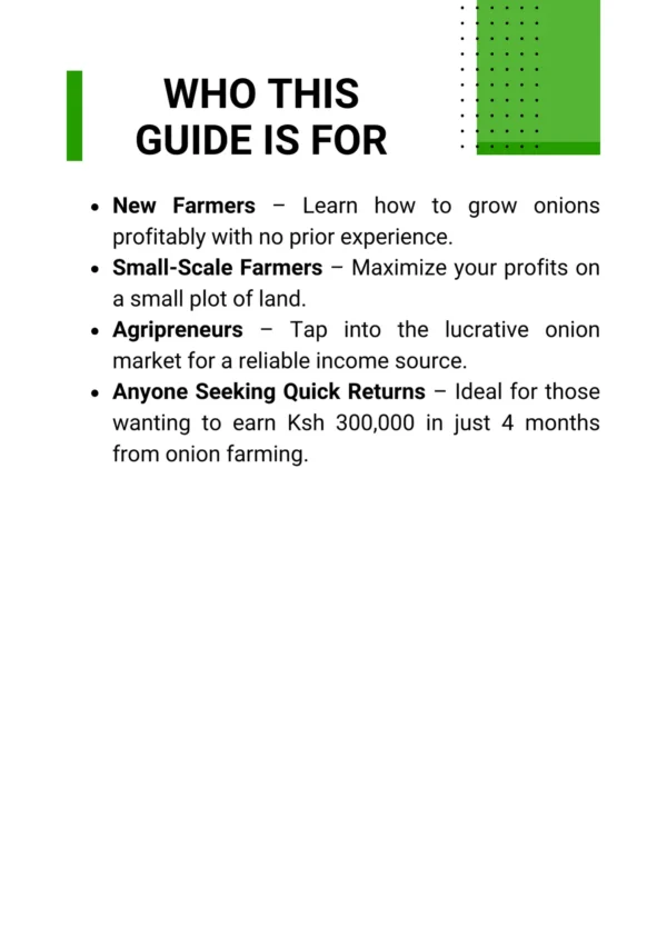Earn Ksh 300k in 4 Months from 1 Acre of Bulb Onion Farming - Image 2