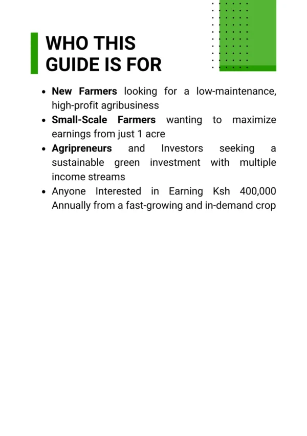 Earn Ksh 400k Yearly from 1 Acre of Bamboo Farming - Image 2