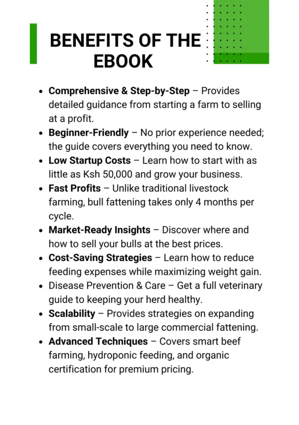 Earn Ksh. 40k Profit Per Bull in 4 Months in Bull Fattening Business - Image 2