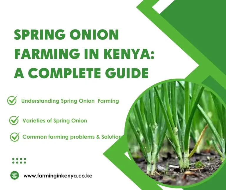 Spring Onion Farming in Kenya: A Complete Guide