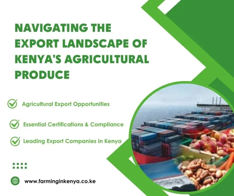 Exporting Agricultural Produce from Kenya