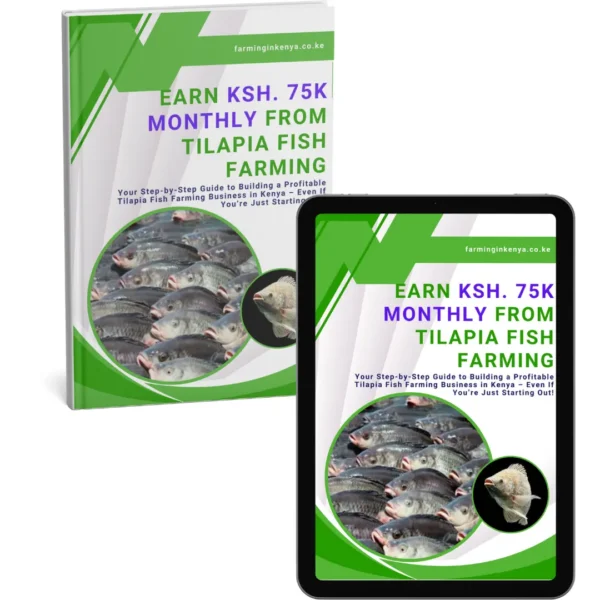 Earn Ksh. 75k Monthly from Tilapia Fish Farming