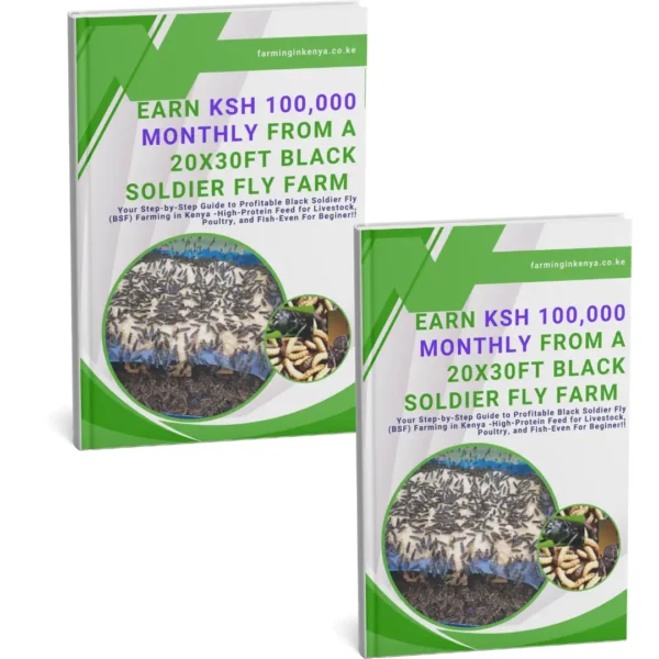 Earn Ksh 100,000 Monthly from a 20x30ft Black Soldier Fly Farm – Even As A Beginner!