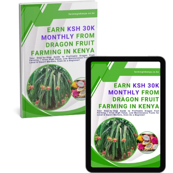 Earn Ksh 30,000 Monthly from Dragon Fruit Farming in Kenya