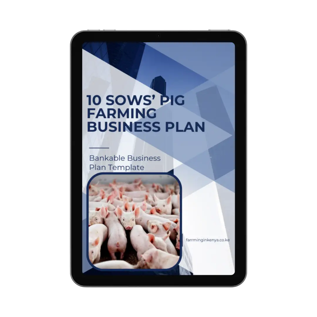 10 Sows Pig Farming Business Plan